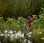 A student takes notes in a field of flowers at the Sustainable Agriculture Project.